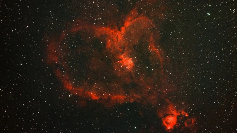 Гороскоп на 1 февраля 2024: что обещают астрологи