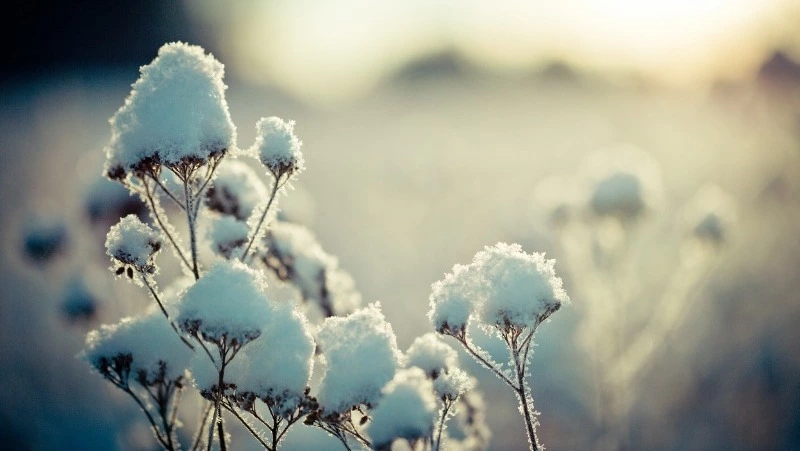 Церковный праздник 16 января 2024: что строго нельзя в этот день, приметы