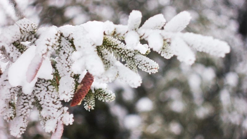 Сильные морозы накроют Сахалин и Курилы 19 января 