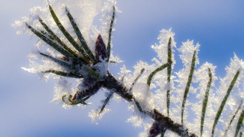 Народные приметы на 15 января 2024 — что нельзя делать в этот день