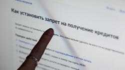 МВД предупредило об аферистах, предлагающих установить самозапрет на кредиты