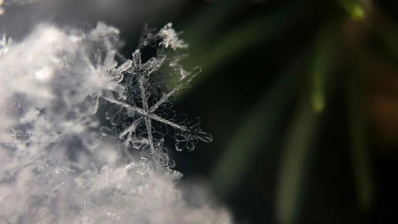 Народные приметы на 15 декабря 2023 — что нельзя делать в этот день