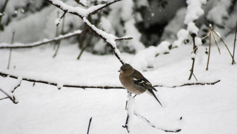 Народные приметы на 4 января 2024 — что нельзя делать в этот день