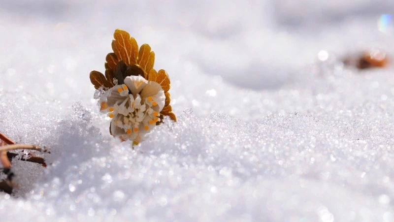 Народные приметы на 24 февраля 2024 — что нельзя делать в этот день