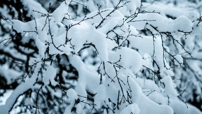 Какой будет погода в Сахалинской области на новогодних праздниках 