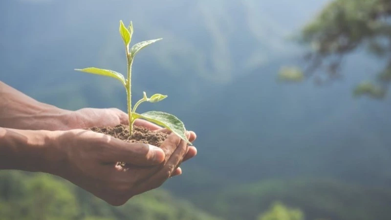Первый этап газицифкации в Сахалинской области завершат в 2025 году