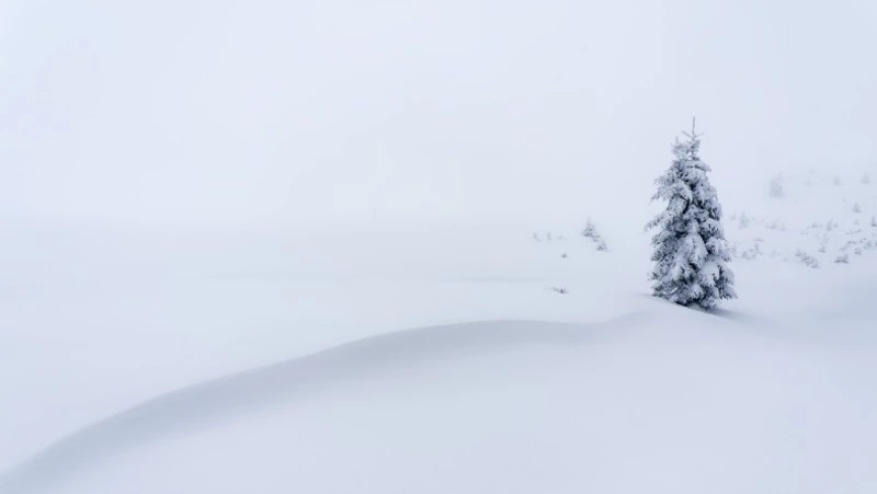 Метель и морозы ожидаются в Сахалинской области 14 декабря