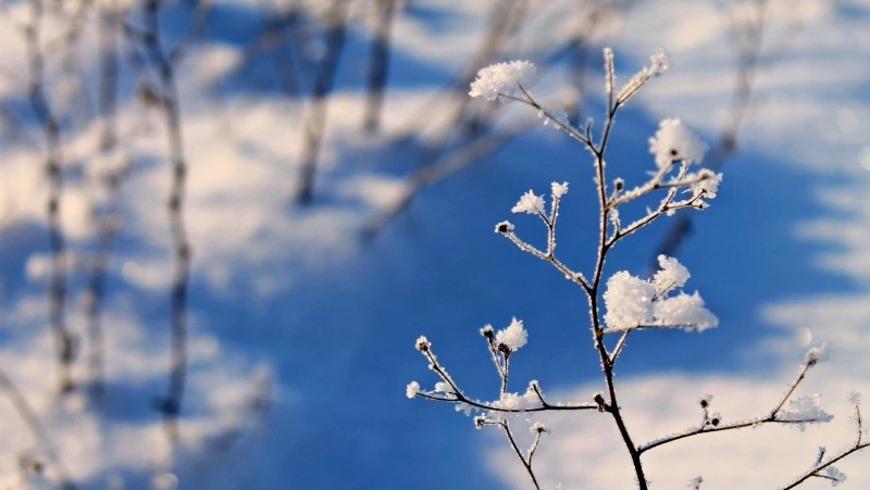 Народный и церковный праздник 4 марта 2024 — что нельзя делать в этот день