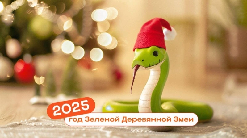 Как встречать год Змеи, что лучше дарить и чего нельзя делать ни в коем случае