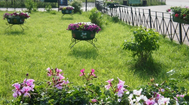 Сахалин – наш дом родной