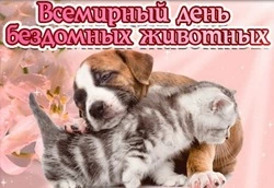 Картинки и открытки на Всемирный день бездомных животных 2024