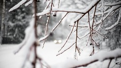 Очень сильный снег и метель ожидаются на Сахалине и Курилах 24 января 
