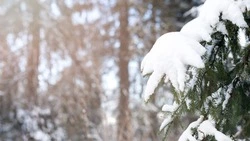 Прогноз погоды по территории Сахалинской области на день 23 января 2025 года