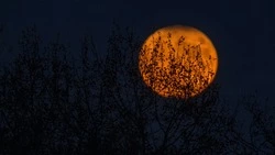Новолуние 10 февраля перевернет жизнь этих трех знаков зодиака 