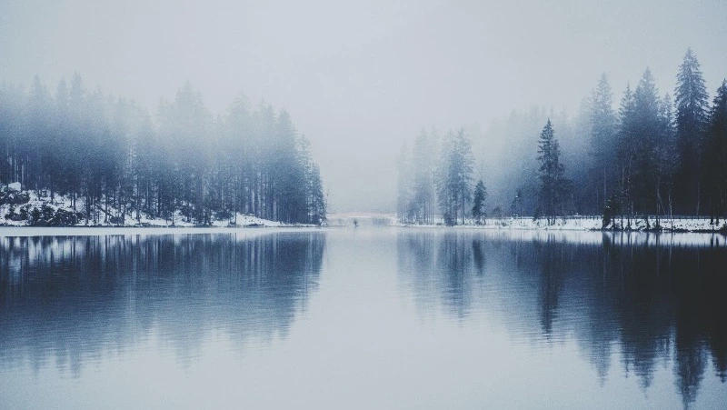 Порывистый ветер и снег ожидаются на Сахалине и Курилах 15 декабря                