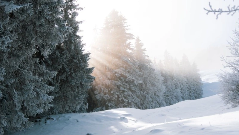 Народные приметы на 12 декабря 2023 — что нельзя делать в этот день