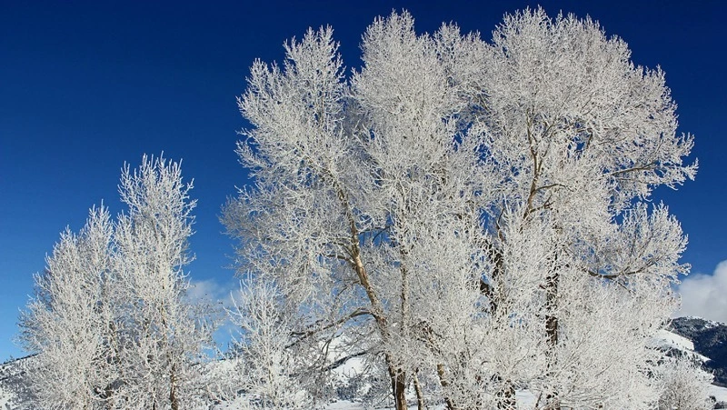 Церковный праздник 2 февраля 2024: что строго нельзя в этот день, приметы 