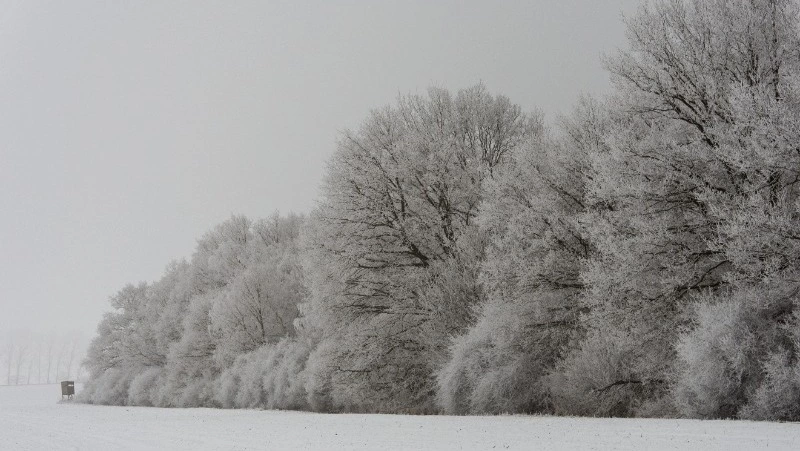 Озвучен прогноз погоды в Сахалинской области на 21 декабря