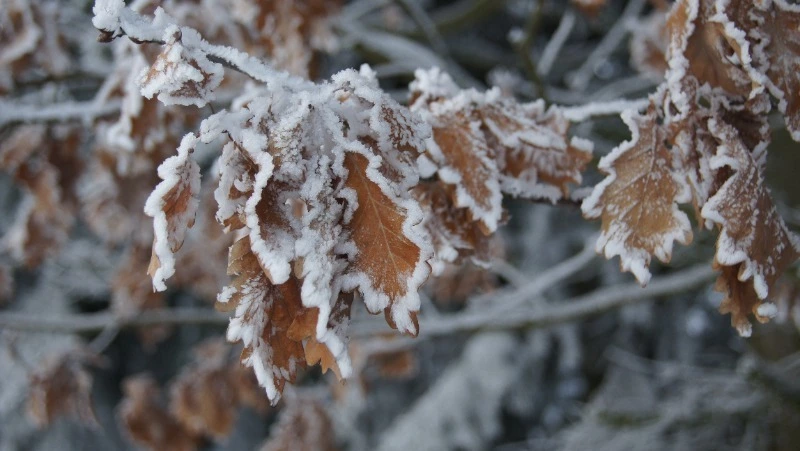 Церковный праздник 27 ноября 2023: что строго нельзя в этот день, приметы