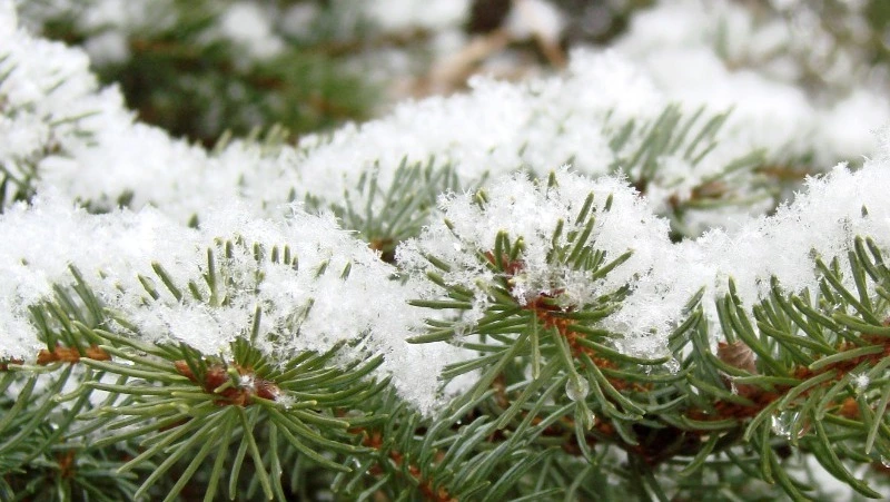 Церковный праздник 22 декабря 2023: что строго нельзя в этот день, приметы