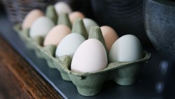 ТОП-4 полезных свойства куриных яиц: просто ешьте их ровно в таком количестве