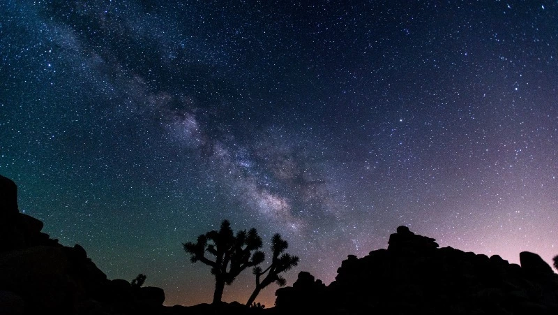 Гороскоп на 3 марта 2024: что обещают астрологи