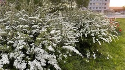 Народные приметы на 1 июня 2024 — что нельзя делать в этот день  