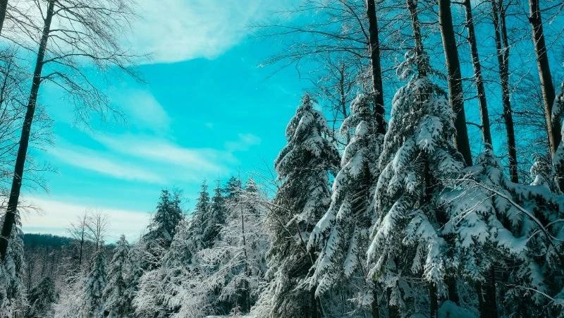 Народные приметы на 30 декабря 2023 — что нельзя делать в этот день