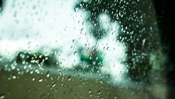 Сильный дождь и +23 градуса: прогноз погоды в Сахалинской области на 2 августа 
