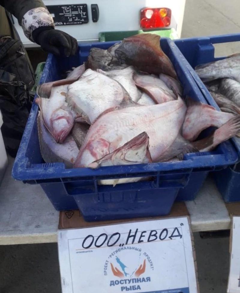 В области с начала года  реализовали более 230 тонн свежей рыбы по социальной цене