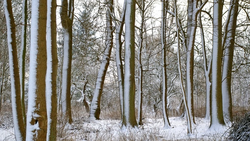 Церковный праздник 28 декабря 2023: что строго нельзя в этот день, приметы