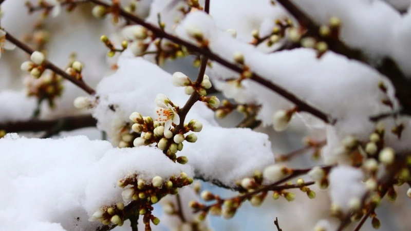 Народные приметы на 27 марта 2024 — что нельзя делать в этот день 