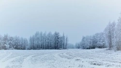 Небольшой снег и ветер ожидаются на Сахалине и Курилах 3 февраля  