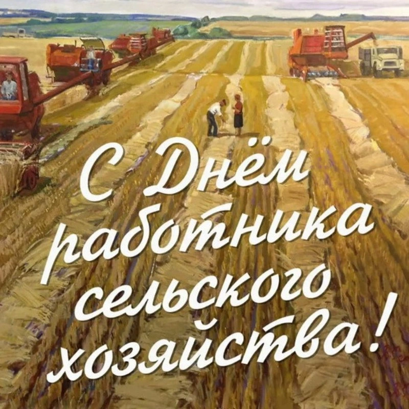 С Днем работника сельского хозяйства 2024: картинки с поздравлениями 