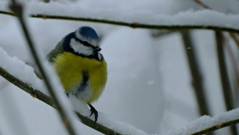 Народные приметы на 22 марта 2024 — что нельзя делать в этот день   