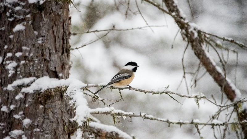 Народные приметы на 21 января 2024 — что нельзя делать в этот день