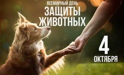 Всемирный день защиты животных 2024: картинки с поздравлениями 