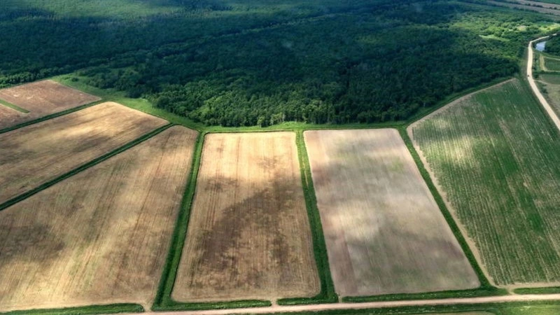 Свыше 10 тысяч «дальневосточных гектаров» выдали на Сахалине и Курилах