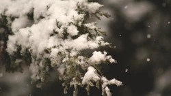 Прогноз погоды на Сахалине и Курилах 30 ноября: умеренный снег и ветер до 27 м/c   