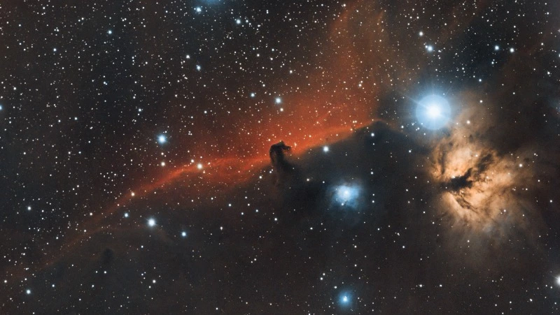 Гороскоп для всех знаков зодиака на 8 января 2024 года