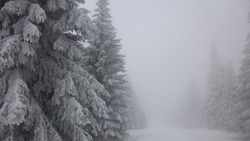 Сильный ветер и местами +2 градуса: погода на Сахалине и Курилах 26 декабря 