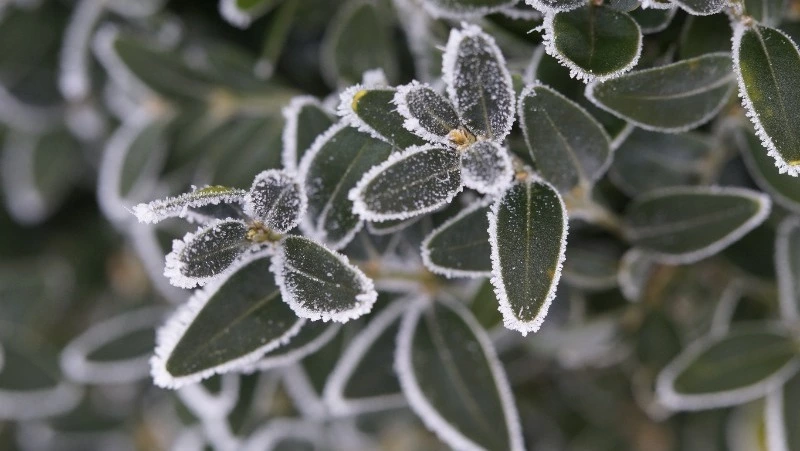 Церковный праздник 29 ноября 2023: что строго нельзя в этот день, приметы