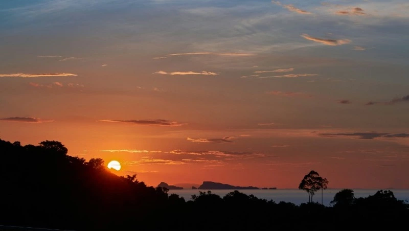 20 марта 2024 года: какой сегодня праздник 