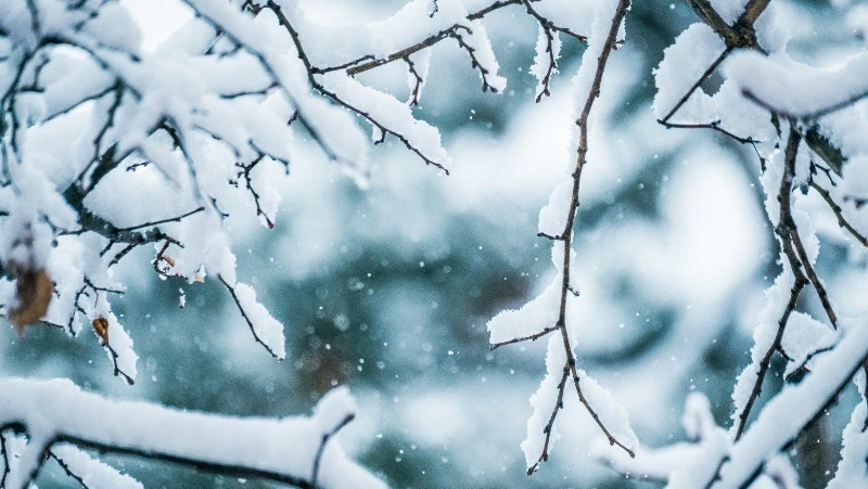 Народные приметы на 15 марта 2024 — что нельзя делать в этот день 