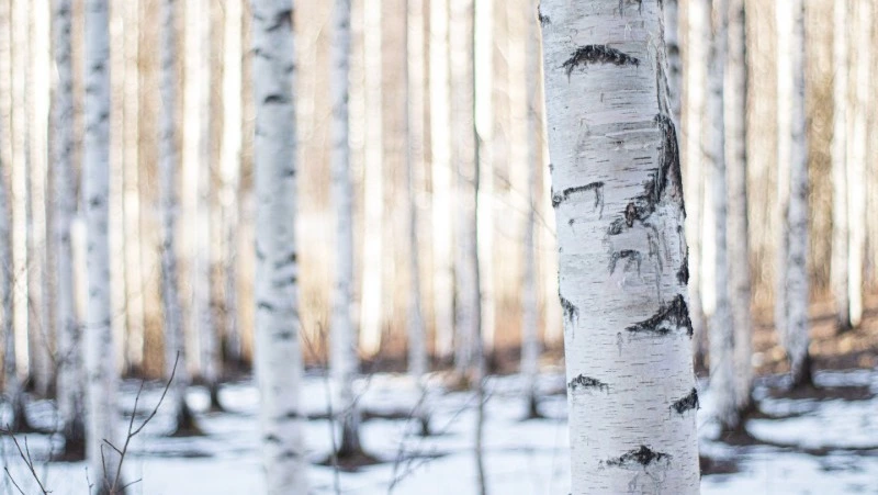 Народные приметы на 5 апреля 2024 — что нельзя делать в этот день