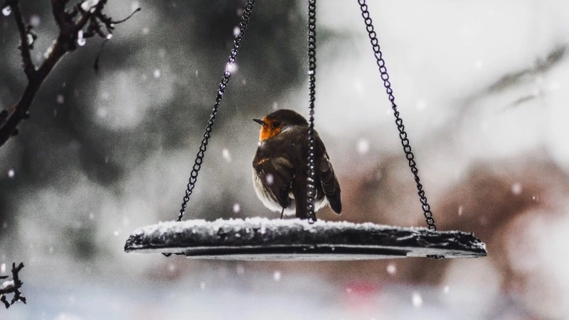 Народные приметы на 10 января 2024 — что нельзя делать в этот день