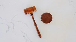 Большие изменения в ОСАГО и учет животных: какие законы вступят в силу в марте 2024 