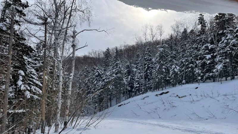 Народные приметы на 25 февраля 2024 — что нельзя делать в этот день