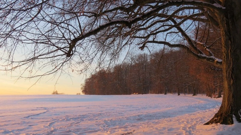 Народные приметы на 29 февраля 2024 — что нельзя делать в этот день 