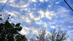 Теплый воздух и туман: прогноз погоды в Сахалинской области на 15 августа